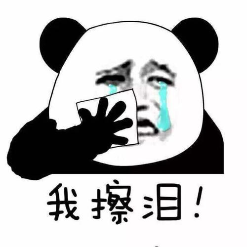 u=3779101366 u=3779101366